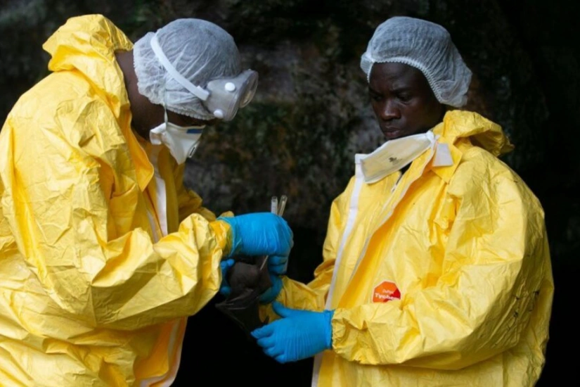 Outbreak of meningitis in Congo