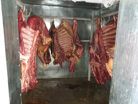 Göyçayda tərkibində xəstəlik törədiciləri olan 235 kq ət aşkarlanıb