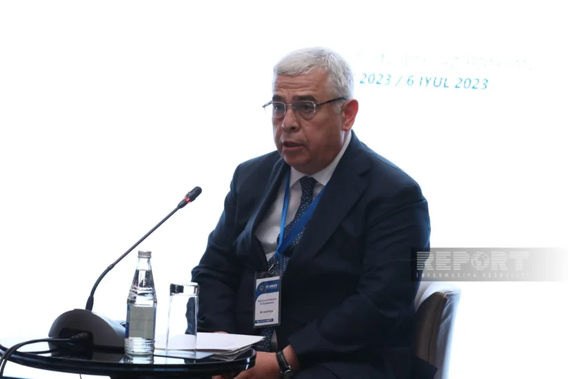 Nazir müavini: “Vətəndaşlığın ləğvinə yönəlmiş tədbirlər öz effektivliyini göstərməkdədir”