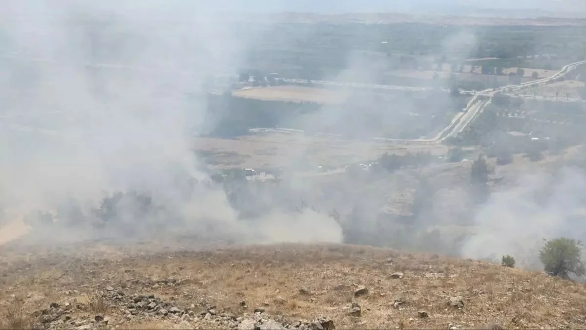 Forest fires in Türkiye: Helicopters and UAV deployed for containment