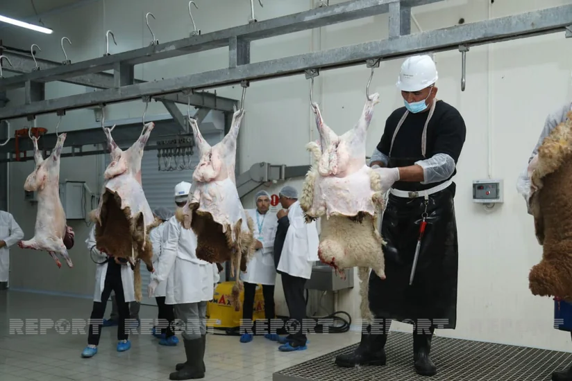 Bakıda Qurban bayramında fəaliyyət göstərəcək müasir kəsim məntəqələrinə infotur təşkil olunub