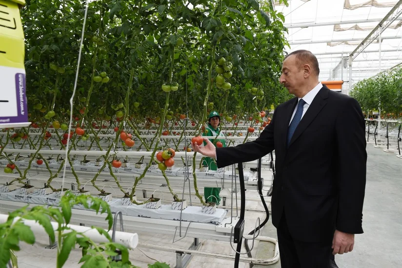 President Ilham Aliyev views works carried out in Baku Agropark in Zira settlement