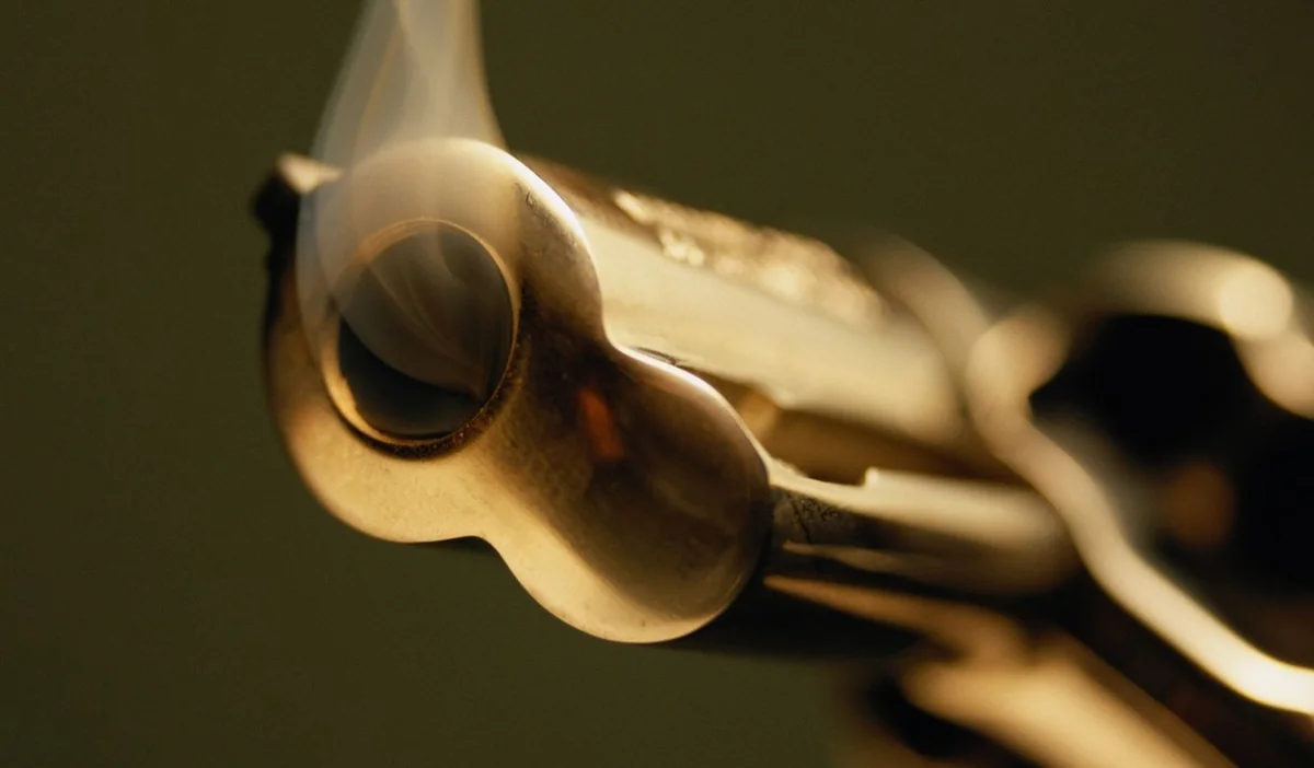 ​Vyanada atışma olub, ölən və yaralananlar var