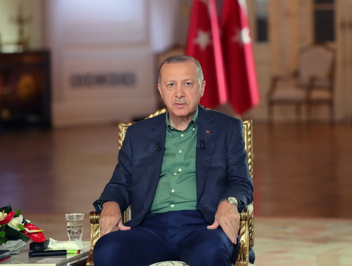 Erdogan calls wildfires international threat