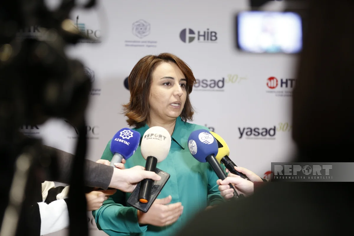 İnarə Vəliyeva: Azərbaycanın İKT sektoruna maraq artmaqdadır