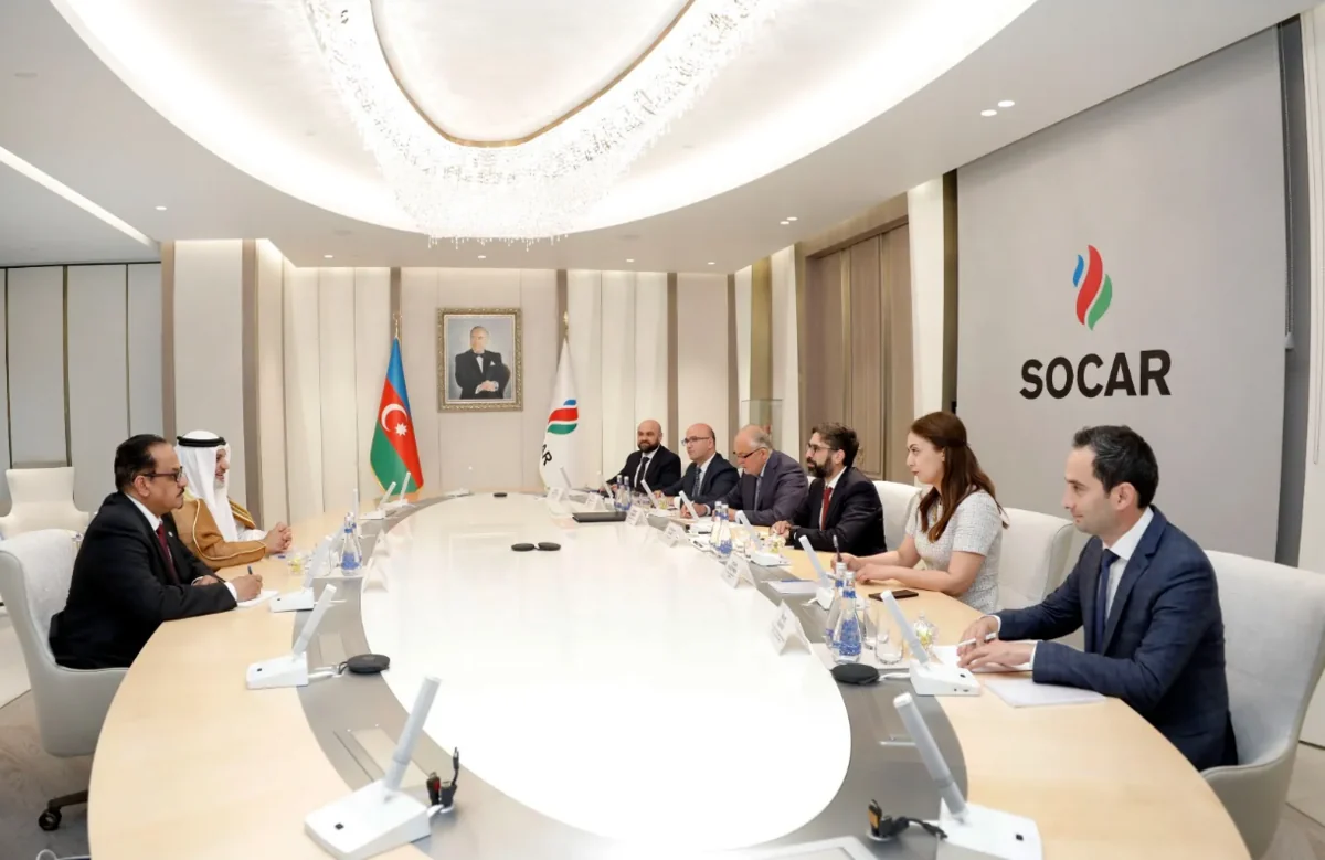 SOCAR ilə OPEC arasında əməkdaşlıq perspektivləri nəzərdən keçirilib