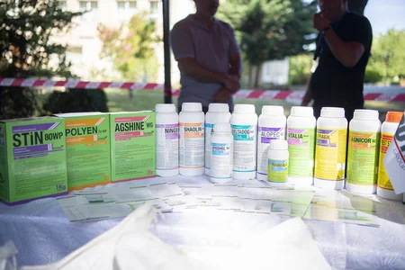 İsmayıllıda toxum sərgi-satış yarmarkası keçirilib