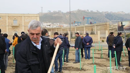 SOCAR-ın əməkdaşları 7 500 ağac və gül kolu əkib - VİDEO