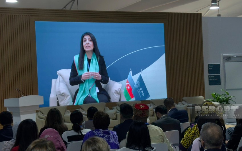 Nigar Arpadarai: İqlim dəyişikliyi dünya iqtisadiyyatından öhdəlik, cəmiyyətlərdən əməkdaşlıq tələb edir