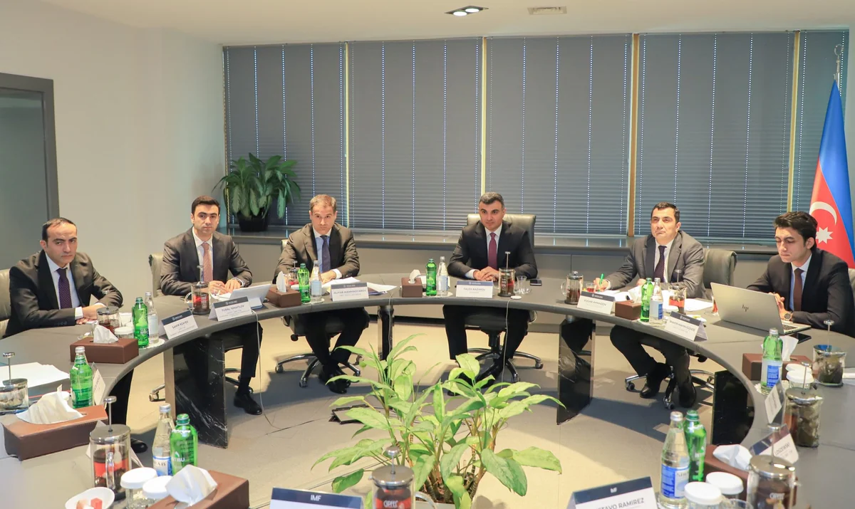 AMB və IMF Maliyyə sektorunun qiymətləndirilməsi layihəsini müzakirə edib