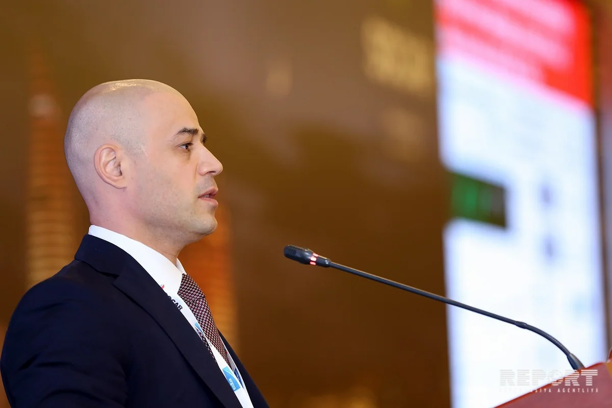 Анар Мамедов: Инвестиции SOCAR в Petkim достигли миллиарда долларов