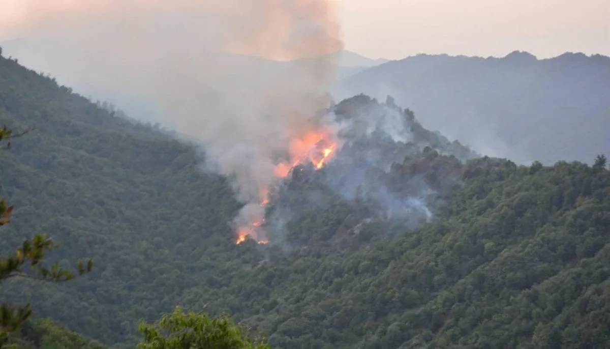 Qubadakı yanğına görə bir nəfər məsuliyyətə cəlb edilib