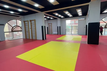 Nizami rayonunda yeni cüdo zalı istifadəyə verilib