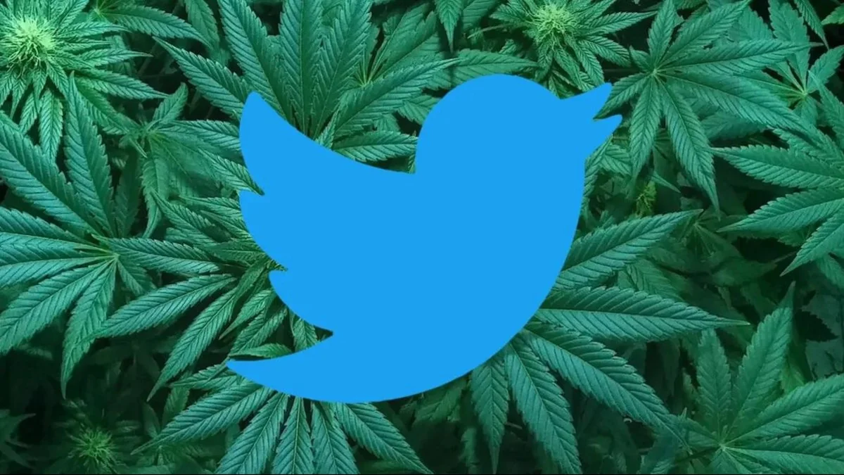 “Twitter” marixuananın reklamına icazə verib