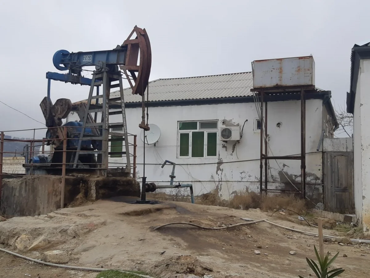 Nəzarətsiz qalan Ramana qəsəbəsində işbazlar at oynadır