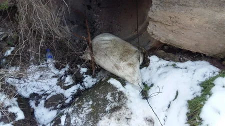 Zəngilanda körpünün altından partlayıcı qurğu tapıldı