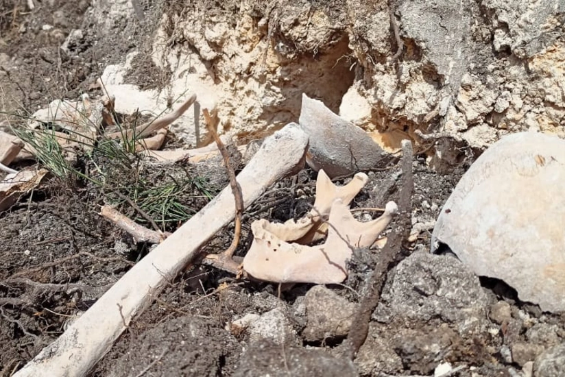 Fərrux kəndində tapılan meyitlərin hamısından DNT analizləri götürüləcək