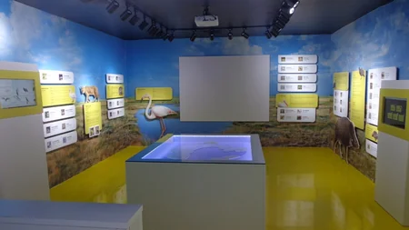 Bayram günlərində milli parkları ziyarət edən turistlərin sayı açıqlanıb
