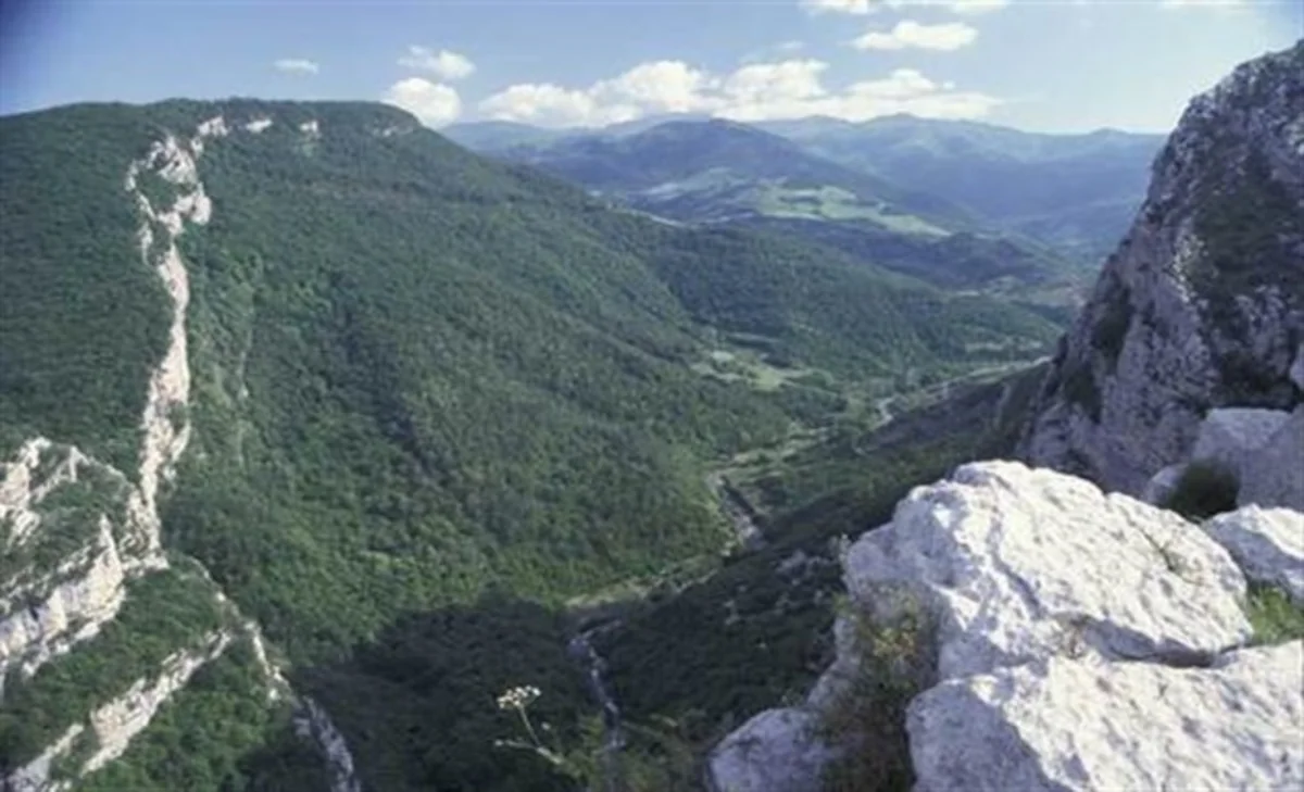 Проживающие в Азербайджане курды готовы сражаться за территориальную целостность страны - ЗАЯВЛЕНИЕ