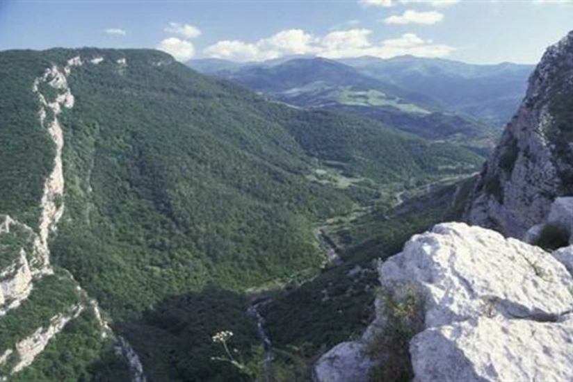 Azərbaycanda yaşayan kürdlər ölkənin ərazi bütövlüyü uğrunda döyüşməyə hazırdır - BƏYANAT