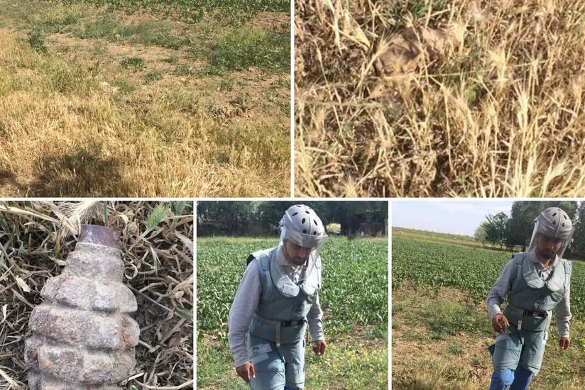 Ağcabədidə əl qumbarası aşkar olunub