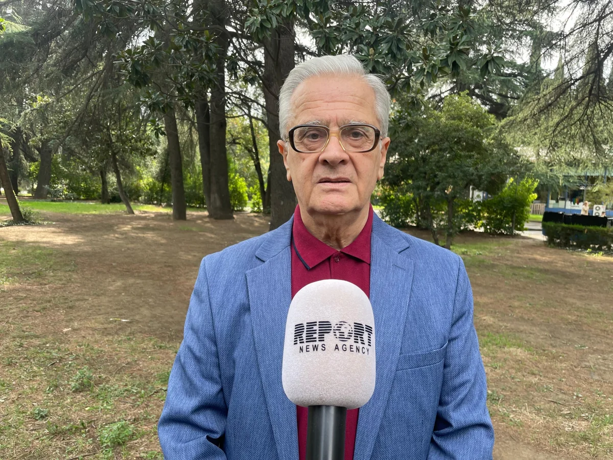 Professor: Local Azerbaijanis play important role in Georgia's socio-political life