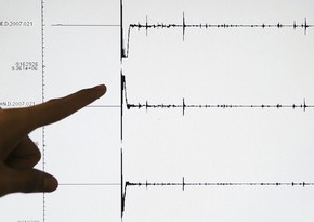 Quake hits Iran's south