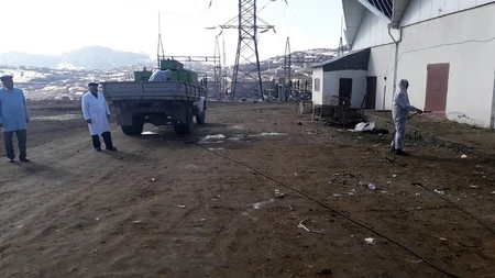 Gədəbəydə heyvanlar arasında profilaktik peyvəndləmə tədbirləri aparılır