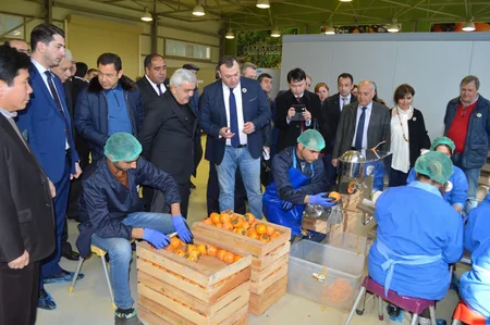 ABAD pilot layihəsi çərçivəsində Balakənə ilk konteyner gətirilib
