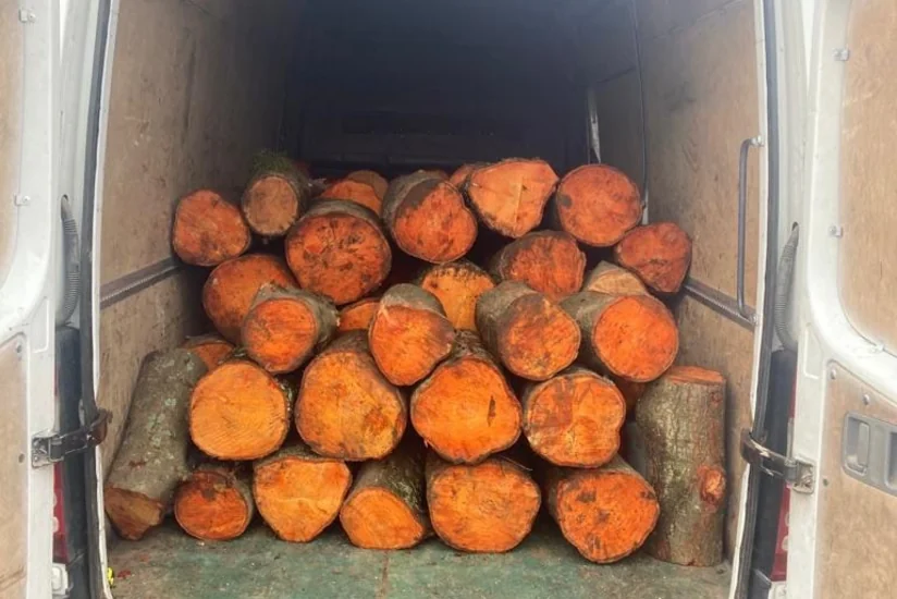 Qızılağac cinsli meşə materialını qanunsuz daşıyan şəxslər məsuliyyətə cəlb olunub
