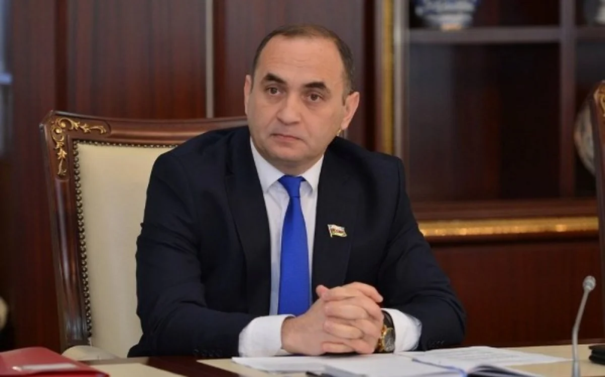 Some states try to interfere in political processes in Azerbaijan - OPINION