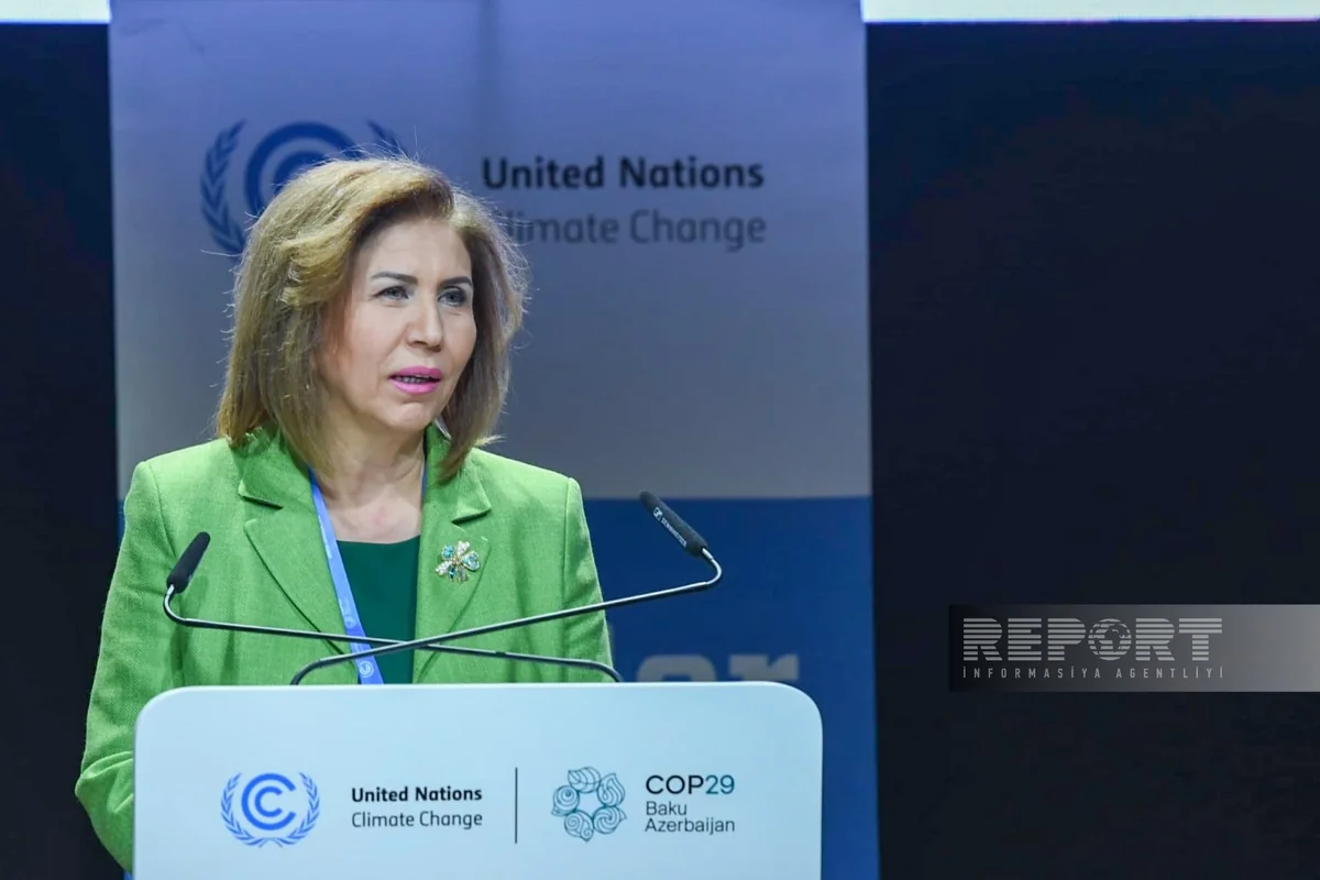 Gender equality vital for sustainable, just future, says Committee Chair