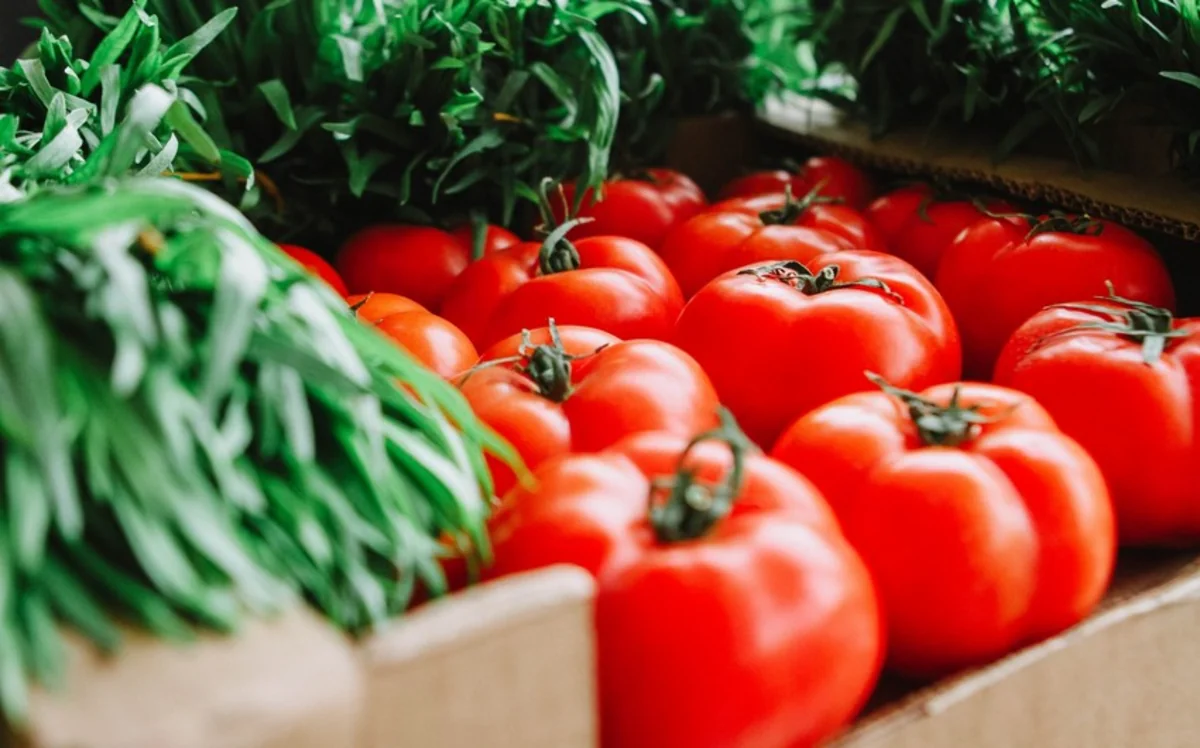 Azərbaycan özünü aqrar məhsullarla tam təmin edə bilərmi?