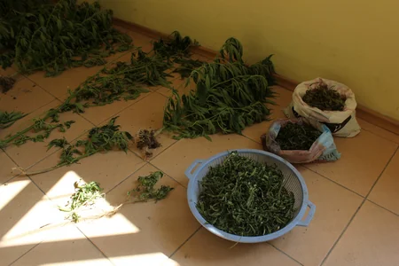 Şabran polisi əməliyyat keçirdi, üç rayon sakini saxlanıldı