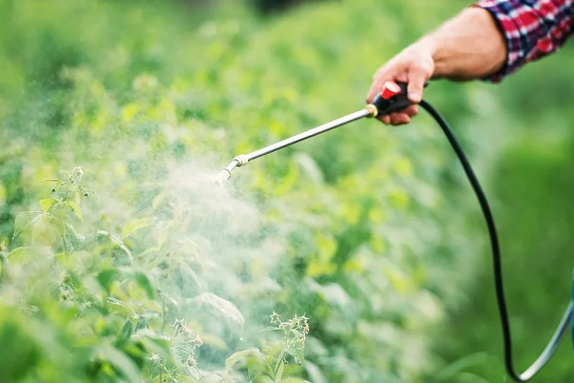 Azerbaijan resumes pesticide supplies from two countries