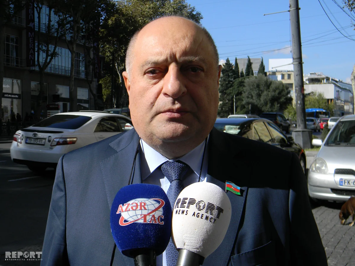 Azerbaijani MP: Georgia's presidential elections held in a democratic and public atmosphere - PHOTO