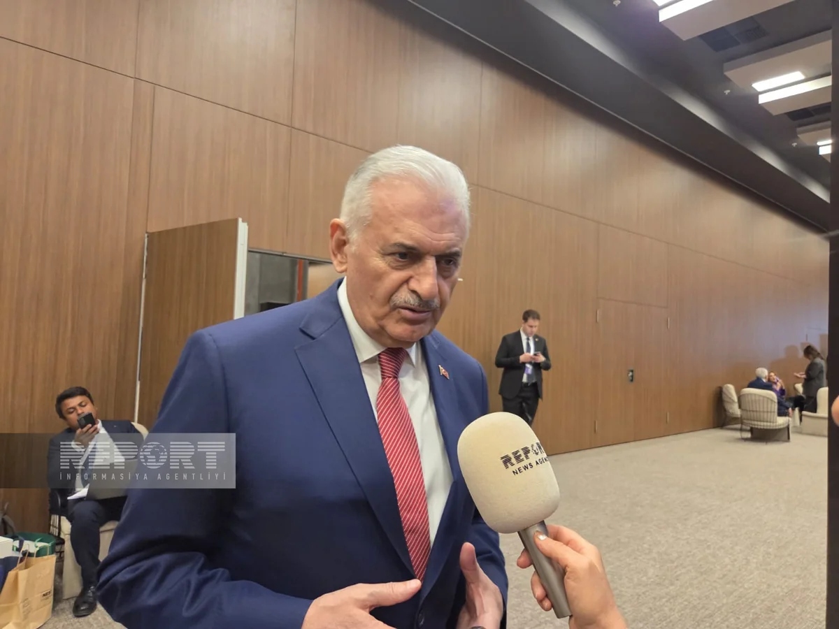 Binəli Yıldırım: Azərbaycanın Qarabağ zəfəri türk dünyasında böyük stimul verdi