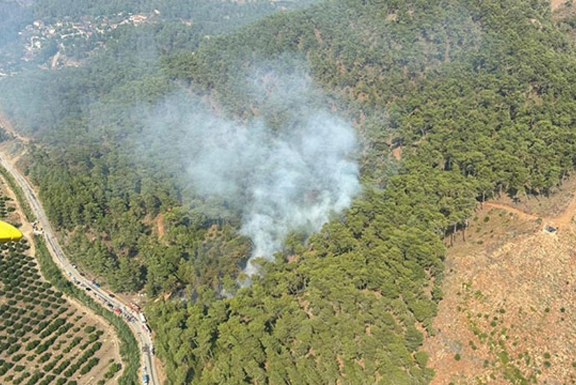 Muğlada meşə yanğını başlayıb