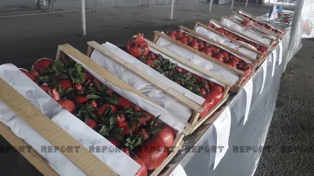 Kürdəmirdə Nar Sərgi-Satış Yarmarkası keçirilib