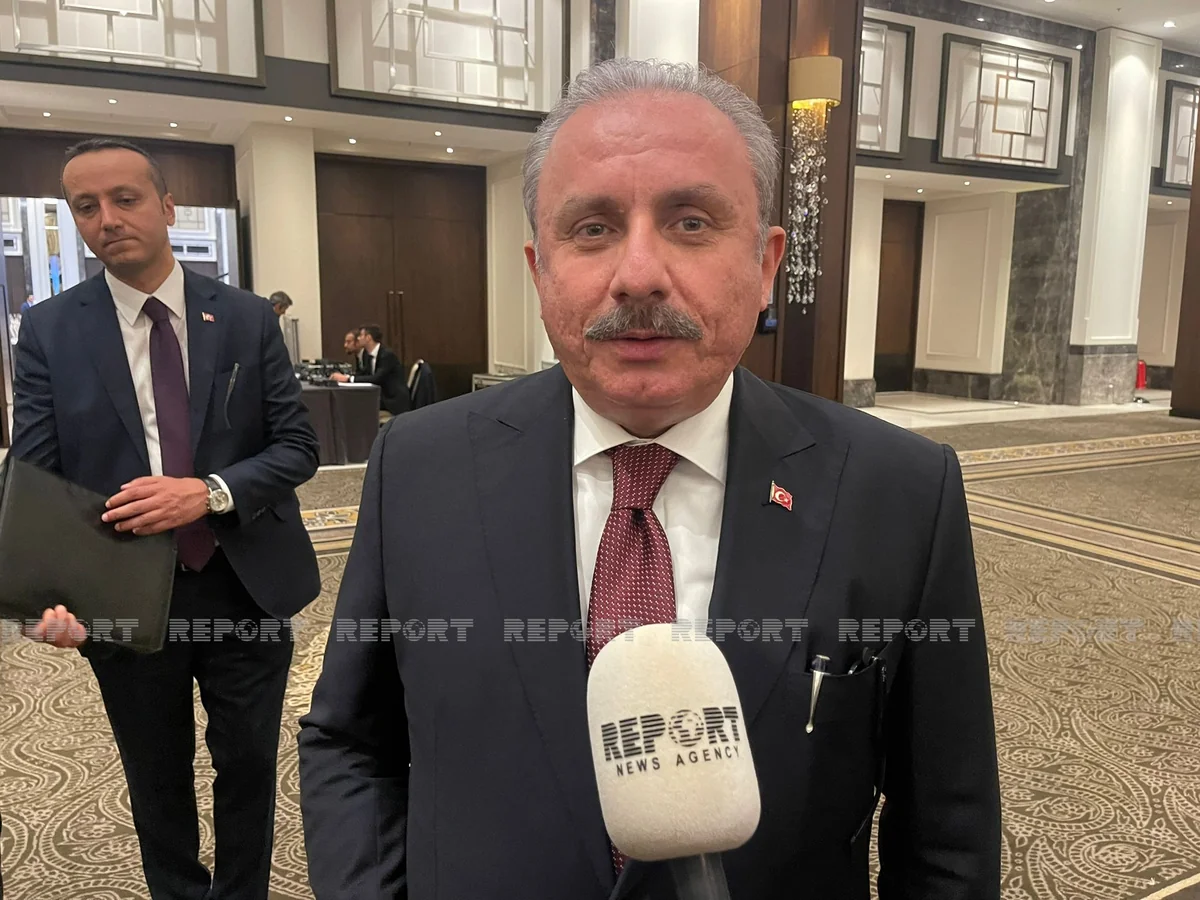 Mustafa Şentop: Bu gün miqrasiya kimi qlobal problemlə qarşı-qarşıyayıq