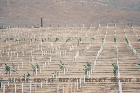Azərbaycan Türkiyənin aksiyasına qoşulub
