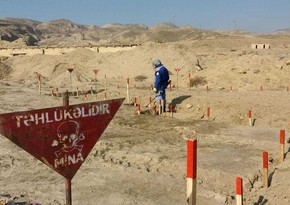 Azerbaijan reveals number of mines detected in liberated areas last month