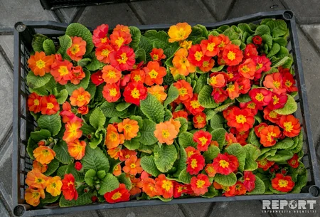 “Ana harayı”nın 26-cı ili - FOTOREPORTAJ