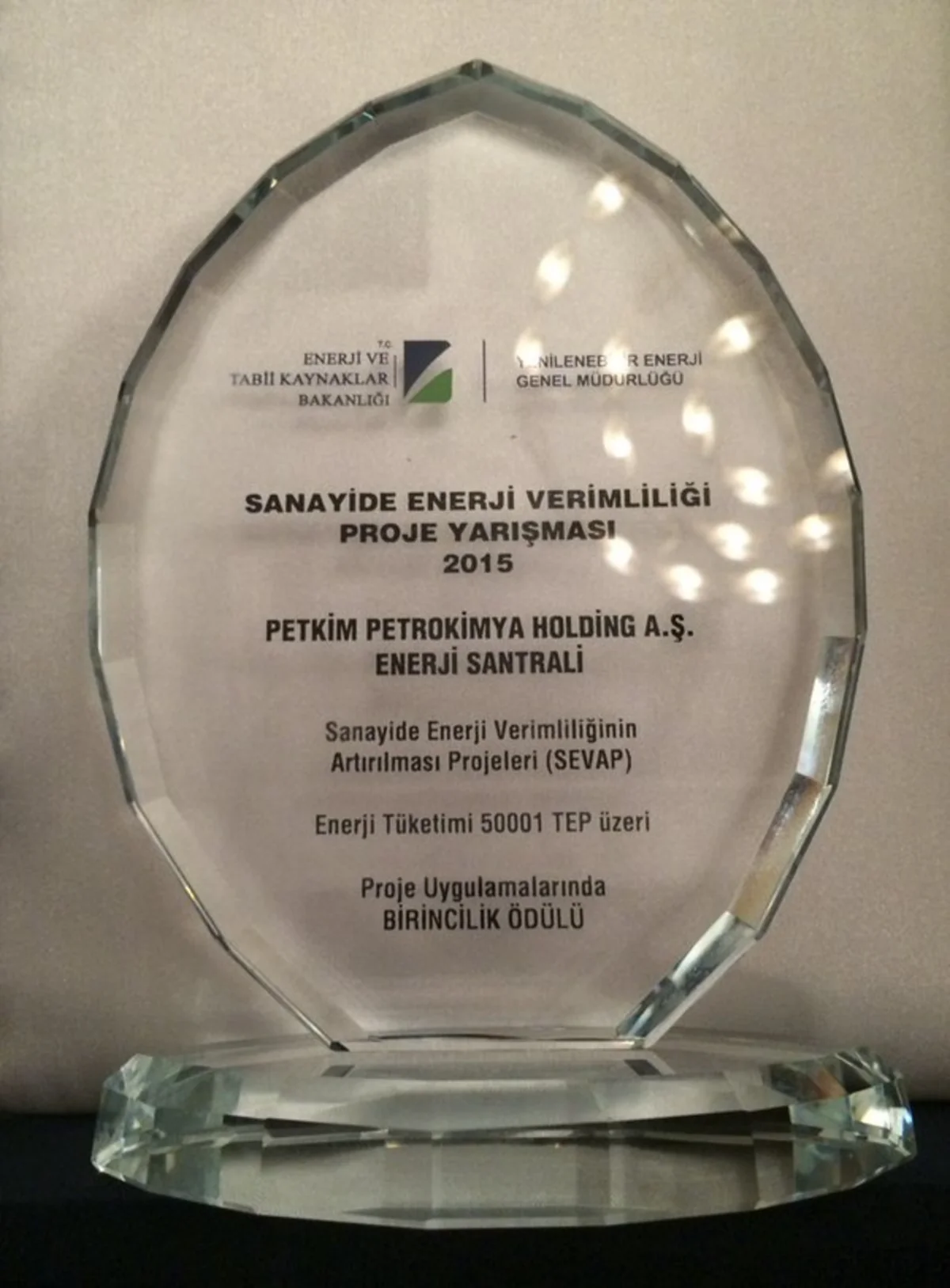 Petkim Holding enerji məhsuldarlıq müsabiqəsində qalib olub