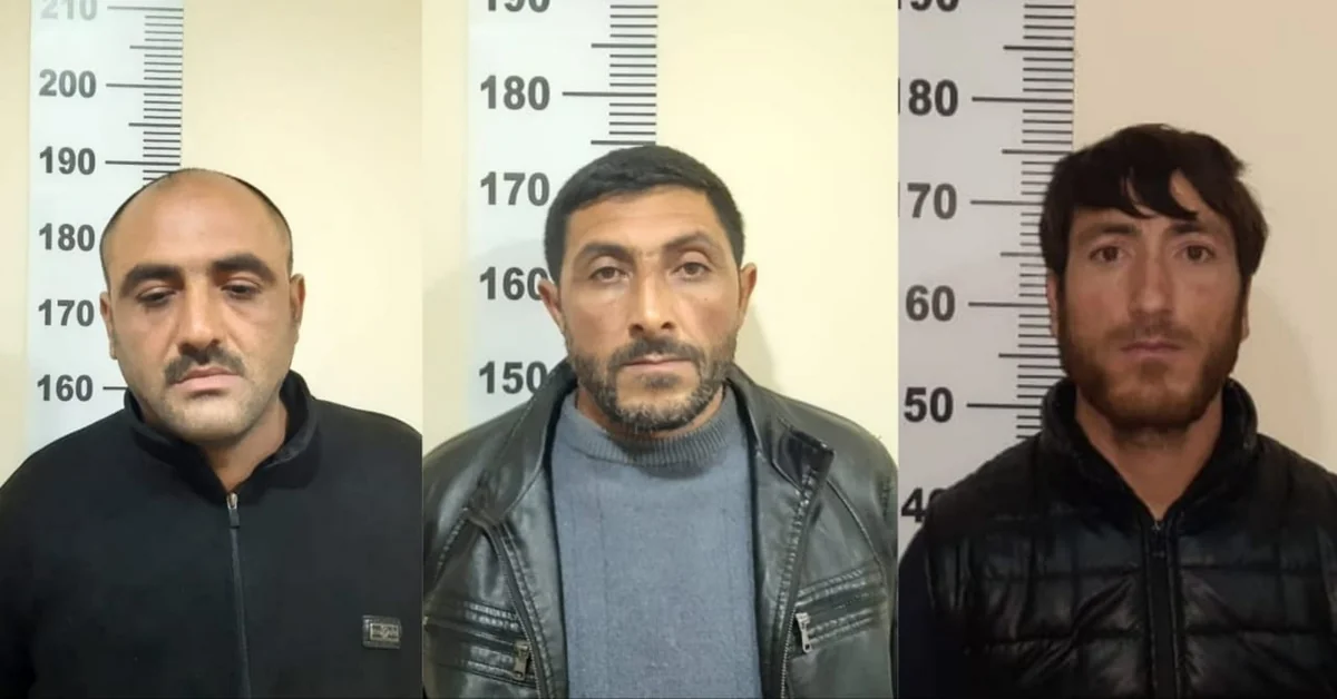 Tərtərdə oğurluq edən şəxslər saxlanılıb
