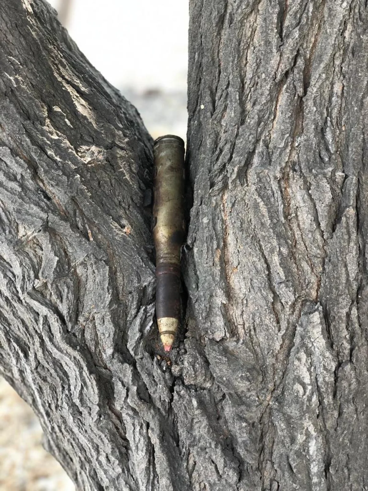 Bakıda Lokomotiv deposu ərazisində mərmi aşkar edilib