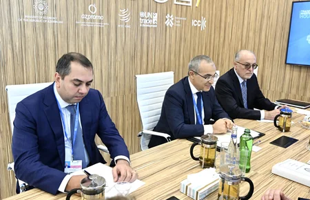 Azərbaycan ABŞ ilə bərpa olunan enerji mənbələrindən istifadənin genişləndirilməsini müzakirə edib
