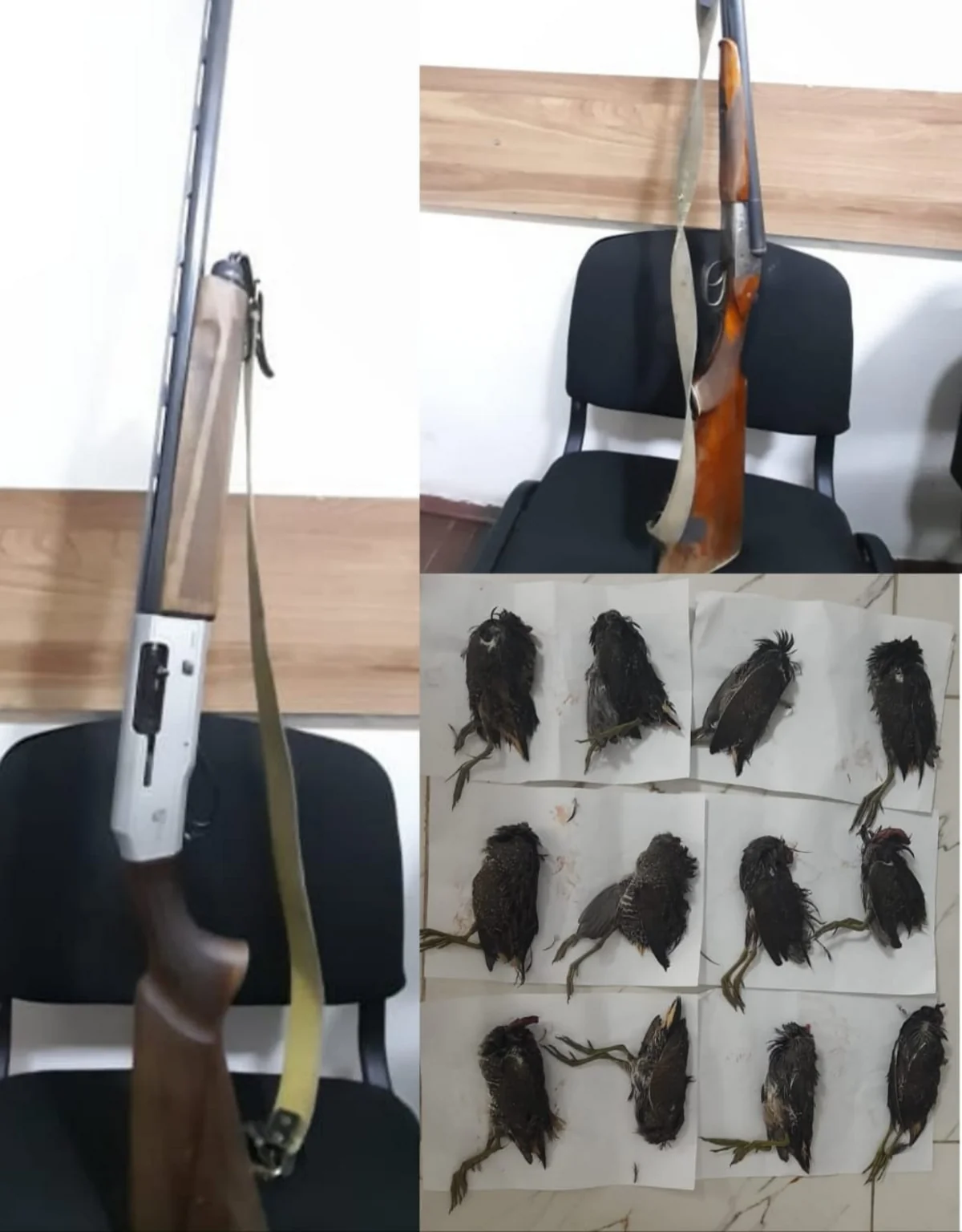 Astarada qanunsuz ov edənlər saxlanılıb