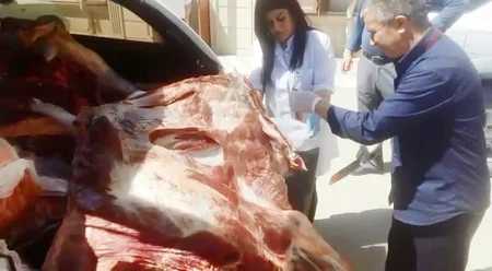 Xaçmazda mənşəyi bəlli olmayan heyvan əti aşkar edilib
