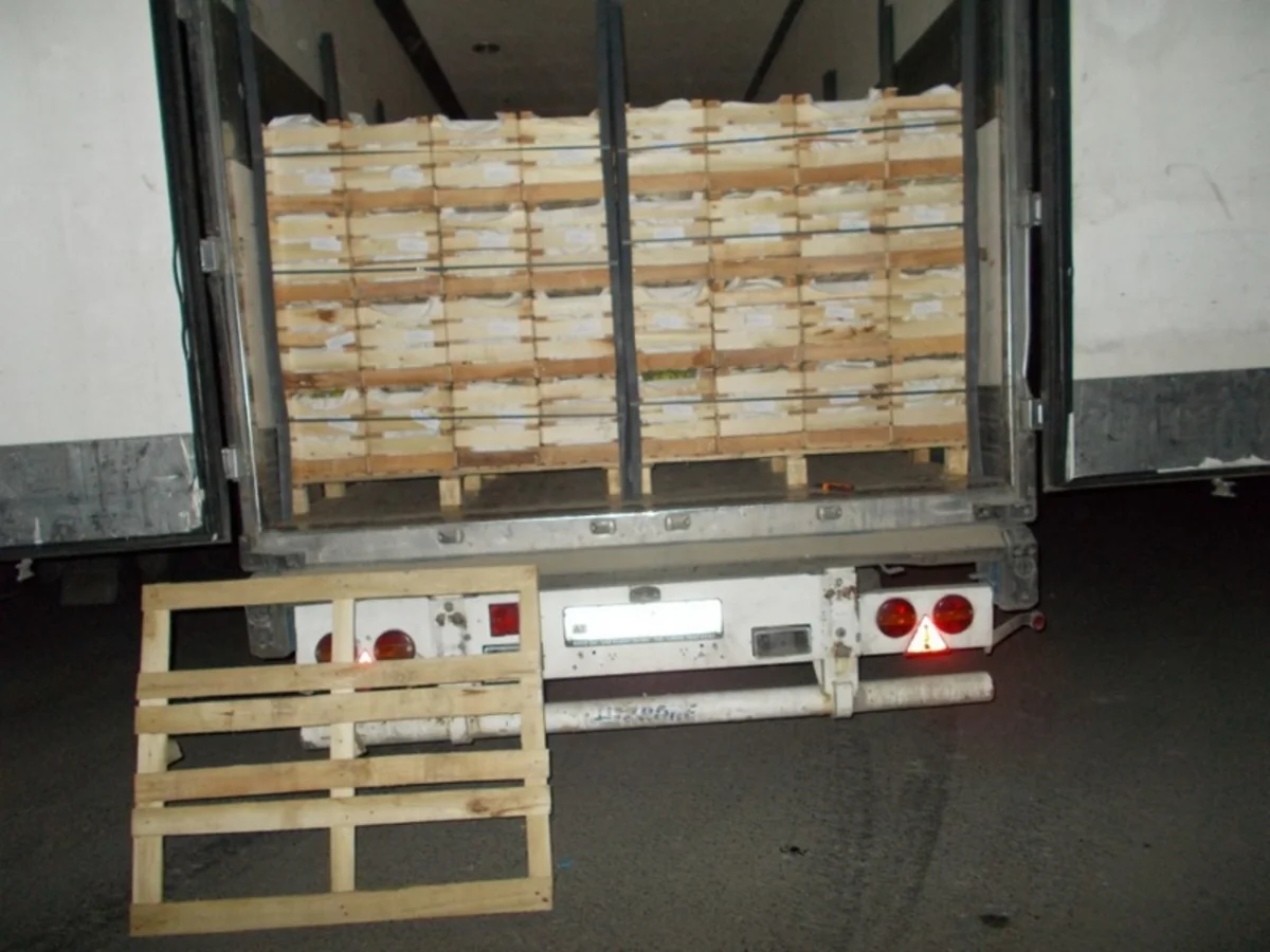 18 ton Azərbaycan alması Dağıstana buraxılmayıb